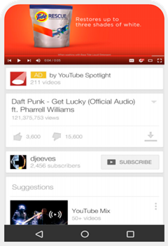 트루뷰 인스트림